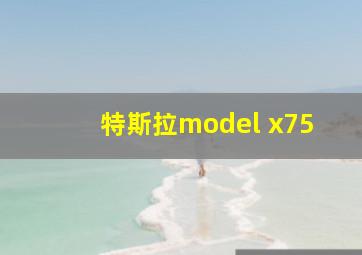 特斯拉model x75